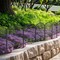 25-Pack Decorative Garden Fence - 24in/61cm H x 27ft/8.2m L Rustproof Metal Animal Barrier, Diamond Mesh Design for Yard, Patio, Christmas Tree Protection